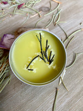 Load image into Gallery viewer, Tree Magic Salve