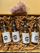 Load image into Gallery viewer, Crestone Community Garden Tincture Set