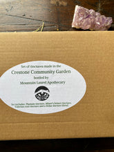 Load image into Gallery viewer, Crestone Community Garden Tincture Set